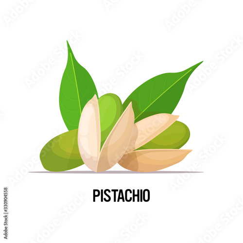 pistachio with leaves isolated on white background healthy vegetarian food concept vector illustration