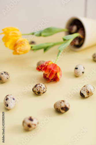 Quail eggs and tulips in a yellow flower pot