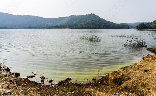 Amazing Landscape of Jambughoda wildlife sanctuary, Gujarat  photo