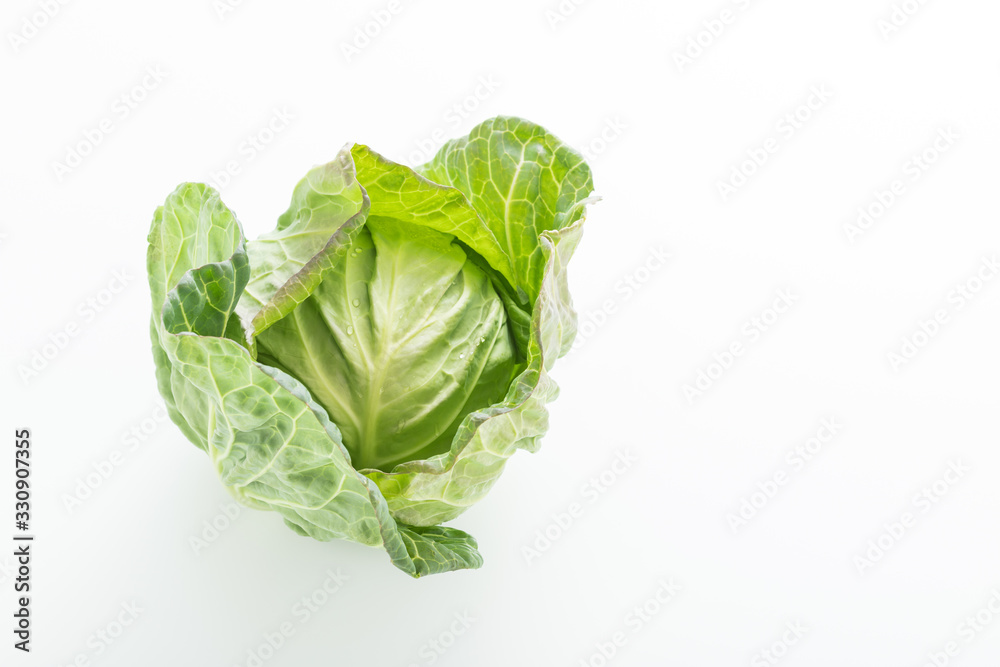 新鮮採れたて！春キャベツ