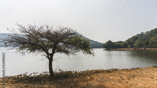 Amazing Landscape of Jambughoda wildlife sanctuary, Gujarat  photo