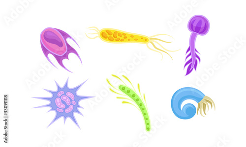 Bacteria and Germs of Different Shapes Isolated on White Background Vector Set