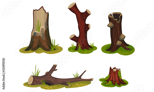 Old Hollow Stubs and Moss-covered Stumps Standing on Green Patch Vector Set