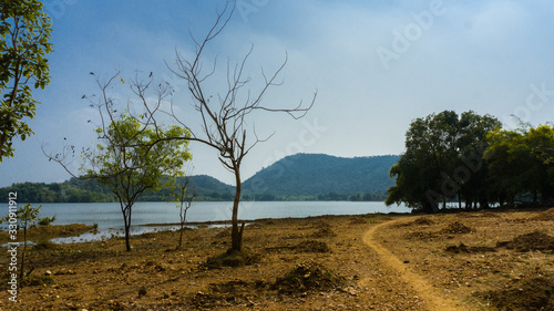 Amazing Landscape of Jambughoda wildlife sanctuary, Gujarat  photo