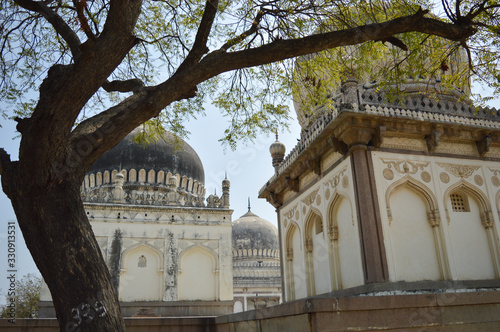 tree branches of seven tombs dome in hydrabad india photo
