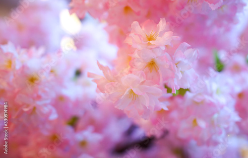 Beautiful pink flowers as a background.