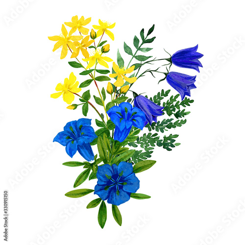 Wild flowers bouquet, blue and yellow tints, st. johns wort gentian photo