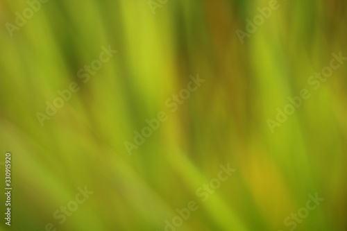 green grass blur background