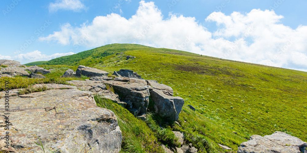 rocks on the alpine hillside meadow. beautiful summer nature scenery. green grass on the hills and fluffy clouds on the blue sky. wonderful mountain panorama of carpathians