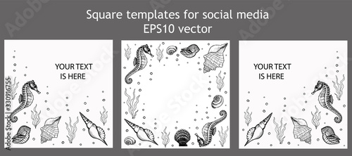Set of square templates for social media. Frames with underwater inhabitants. Seahorse, shells and seaweed hand drawn doodle outline. Stock vector illustration isolated on transparent background.