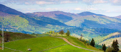 rural landscape in mountains. trees along the path through grassy hill. beautiful nature panorama in spring. wonderful weather with clouds © Pellinni
