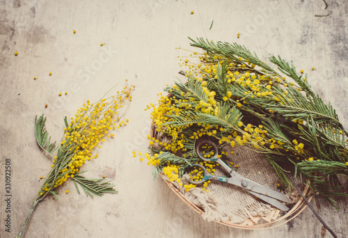 yellow mimosa flowers on a wooden background