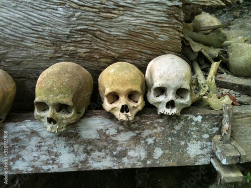 Human skulls are placed next to oak wood coffins, in a close up photo at the Londa cemetery, Toraja, North Sulawesi, Indonesia.