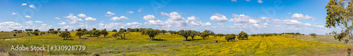 landscape near Ourique at the coast aerea of Algarve in Portugal with olive trees, colorful fields and cork trees
