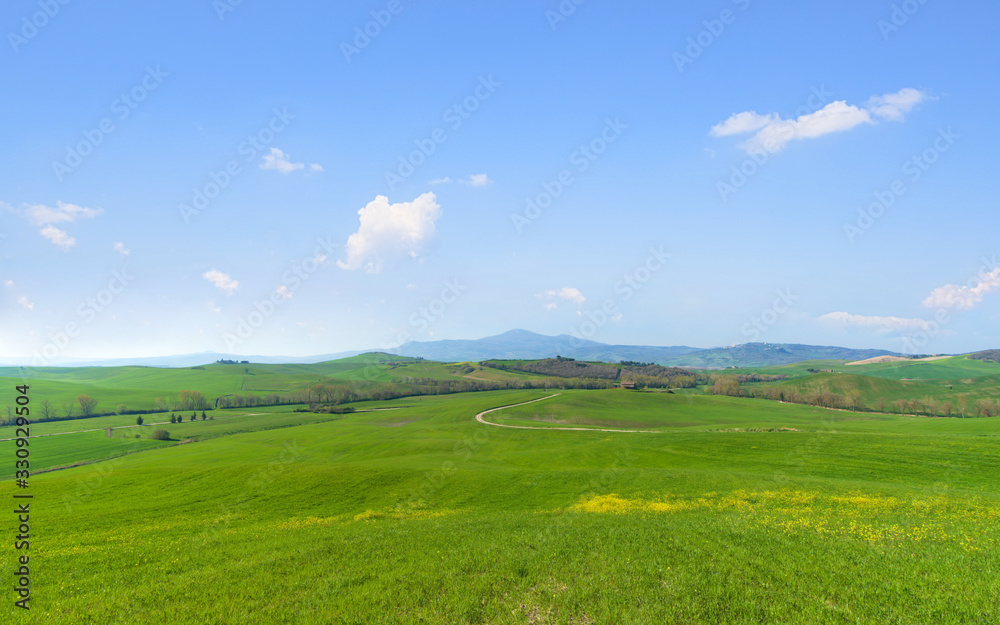 Green grassland under the blue sky