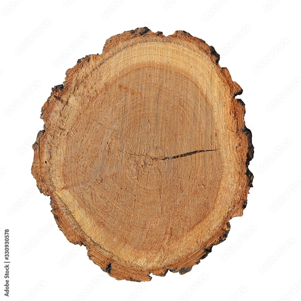 A cut of sawn wood. A piece of wood on a white background. A cut of sawn wood. A piece of wood on a white background.