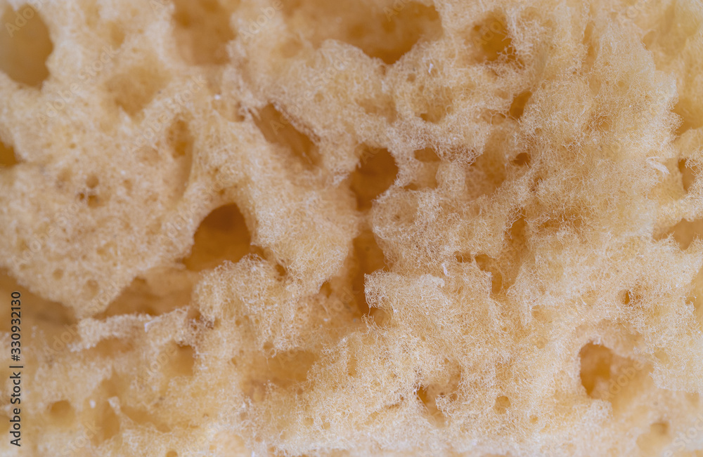 Close up of natural sea sponge texture for design. Zero waste and no plastic background. Close up of natural sea sponge texture for design. Zero waste and no plastic background.