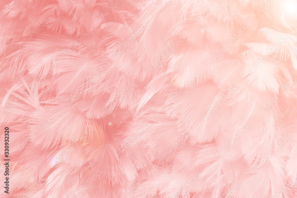 Beautiful soft pink color trends feather pattern texture background with orange light flare