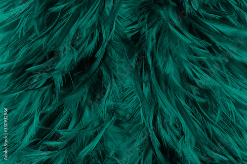 Beautiful dark green viridian vintage color trends feather texture with orange light flares