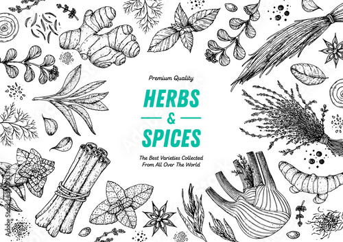 Herbs and spices hand drawn vector illustration. Aromatic plants. Hand drawn food sketch. Vintage illustration. Card design. Sketch style. Spice and herbs black and white design.