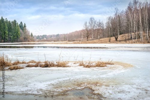 Весенний пейзаж Spring landscape