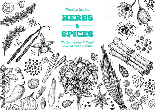 Herbs and spices hand drawn vector illustration. Aromatic plants. Hand drawn food sketch. Vintage illustration. Card design. Sketch style. Spice and herbs black and white design.