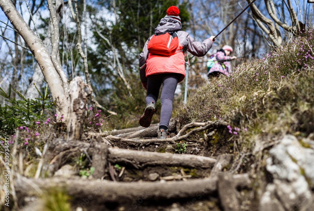 Children hiking in the mountains or woods on family trip. Children hiking in the mountains or woods on family trip.