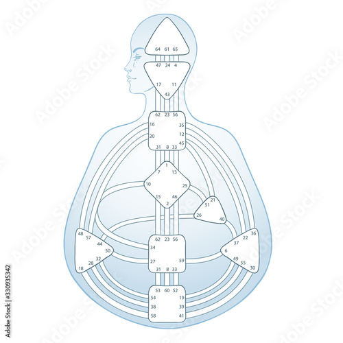 Human design bodygraph chart design. Vector isolated illustration. Energy centers gates system blank template