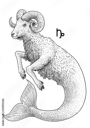 Capricorn zodiac symbol illustration, drawing, engraving, ink, line art, vector