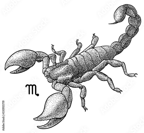 Scorpio zodiac symbol illustration, drawing, engraving, ink, line art, vector