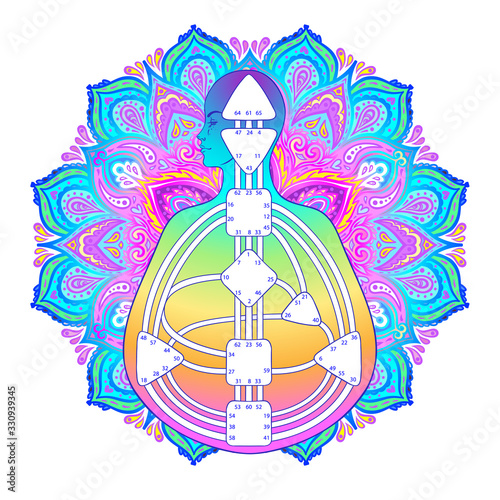 Human design bodygraph chart design. Vector isolated illustration. Energy centers gates system blank template