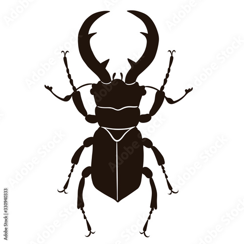 Stag-beetle isolate on white background. Vector graphics.