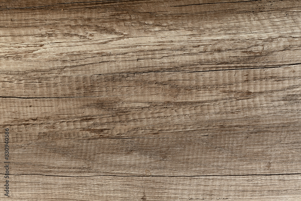 Texture of wood background closeup Texture of wood background closeup