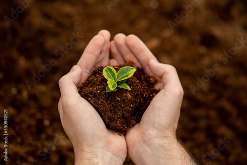 Small plant in soil closeup. The gardener's hands gently hold the soil with the plant. Ecology, environmental protection. Work in the greenhouse