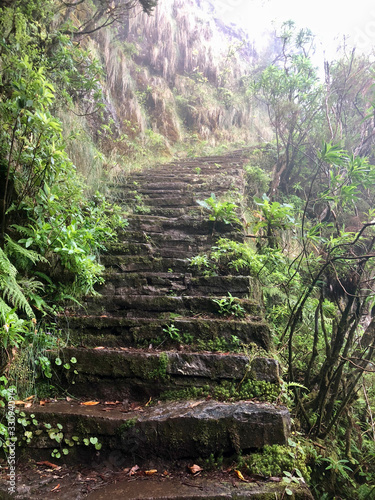 Hiking trail Madeira mountain landscape mood very old green stairs