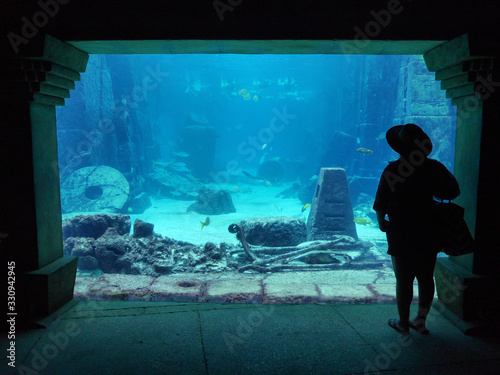 Silhouette of Woman in Underwater Aquarium Scene - Looking at Fish and Stingrays (Atlantis Paradise Island, Bahamas, Caribbean)