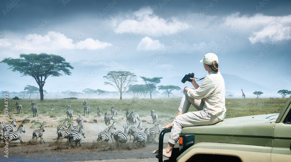 Woman tourist on safari in Africa, traveling by car in Kenya and Tanzania, watching zebras and antelopes in the savannah. Woman tourist on safari in Africa, traveling by car in Kenya and Tanzania, watching zebras and antelopes in the savannah.