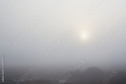 Autumn weather. Dense Fog in the field