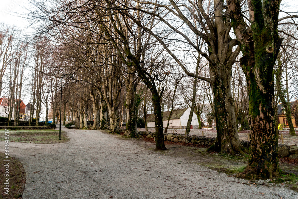 A road along scenic garden and bare trees in Ledaalsparken park during winter season, Stavanger, Norway, December 2017