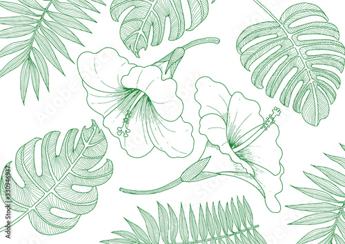 Hibiscus and plant line drawing illustration