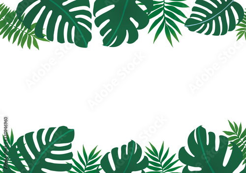 Tropical plants, leaves background frame