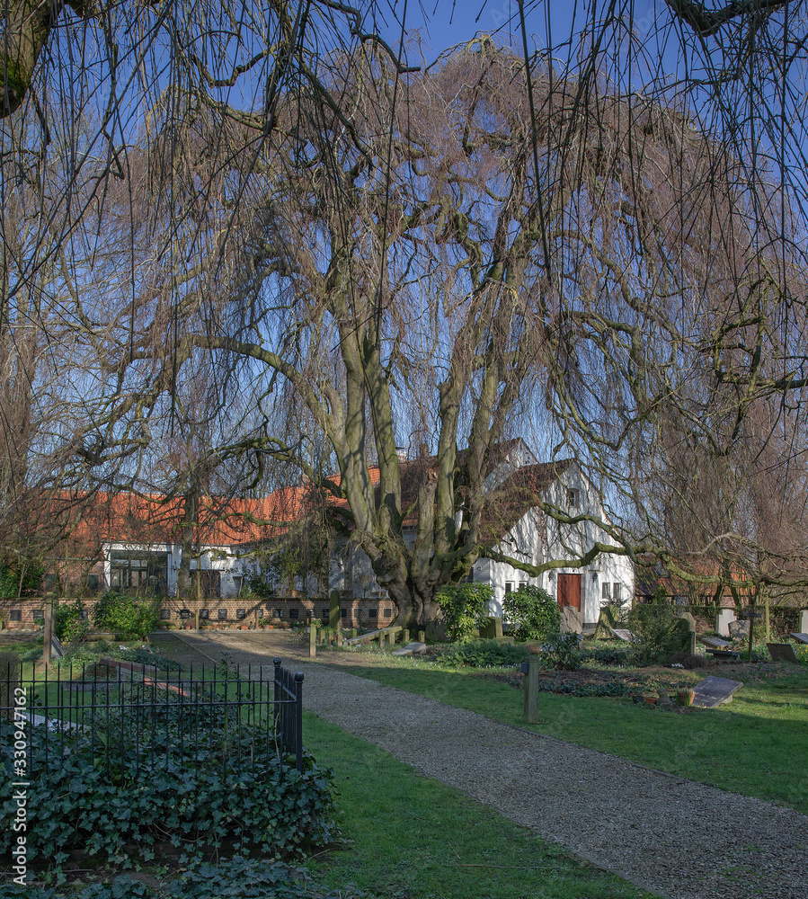 Horebeke East Flanders Belgium. Graveyard. Cemetry. Thombstones.Geuzenhoek.