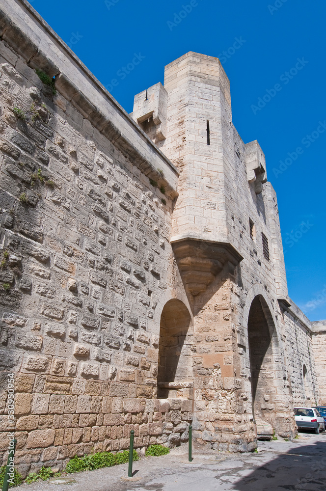 La porte des Remblais at Aigues Mortes, France