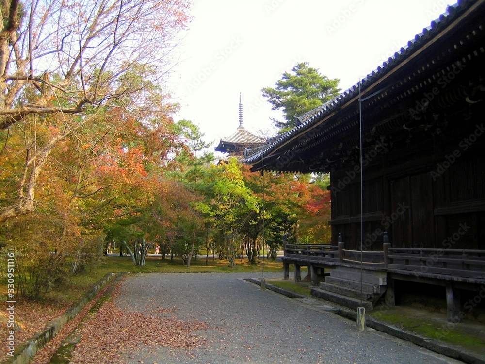 Autumn nature, Ninna-ji temple gardens in Kyoto, Japan. Located in western Kyoto and founded in AD 888, Ninna-ji is part of the Historic Monuments of Ancient Kyoto, a UNESCO World Heritage Site. Autumn nature, Ninna-ji temple gardens in Kyoto, Japan. Located in western Kyoto and founded in AD 888, Ninna-ji is part of the Historic Monuments of Ancient Kyoto, a UNESCO World Heritage Site.