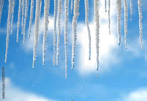 Spring drops falls down from long crystal melting icicles hanging down before clear blue sky on bright sunny thaw day vertical view close up