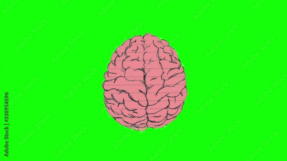 Animation: White colored brain turns into a pink colored brain.