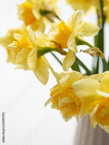 Bouquet of spring flowers in a vase on the table. Daffodil narcissus in vase lifestyle. Copy space