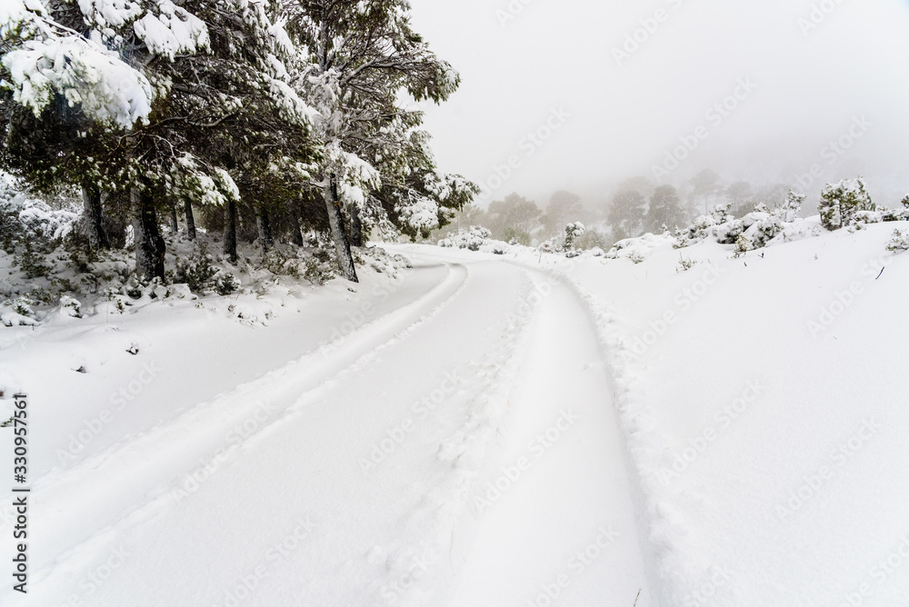 Obraz premium Snowy road difficult to reach with snow piled up in the trees.
