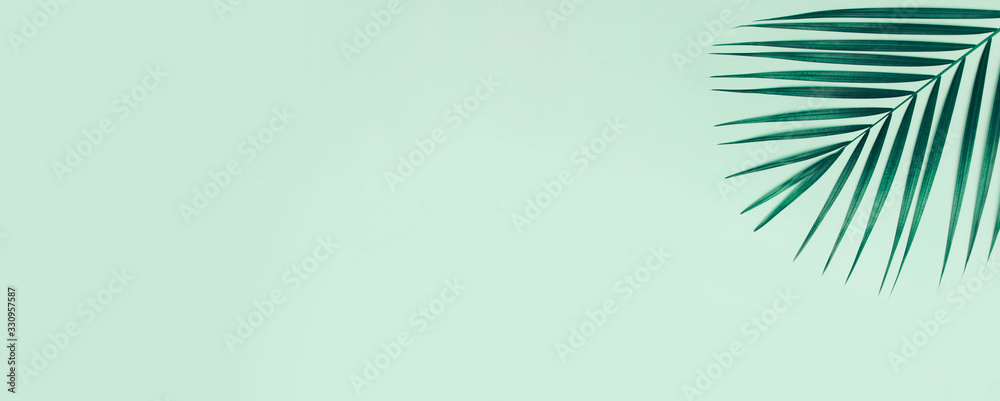 Fototapeta premium Lato transparent z palmą na kolorowym tle.
