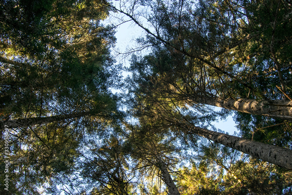 Obraz premium Pirineos